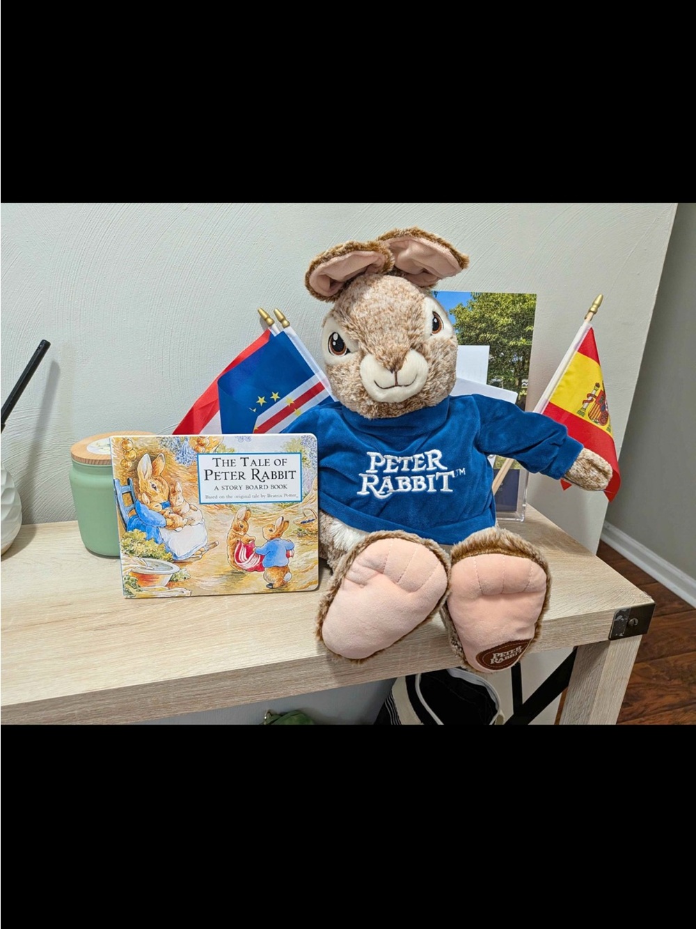 Peter Rabbit Plush Stuffed Animal in Blue Sweatshirt + book